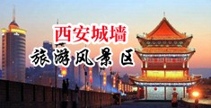 奸淫中出中国陕西-西安城墙旅游风景区