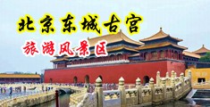 鸡巴插进小穴视频中国北京-东城古宫旅游风景区